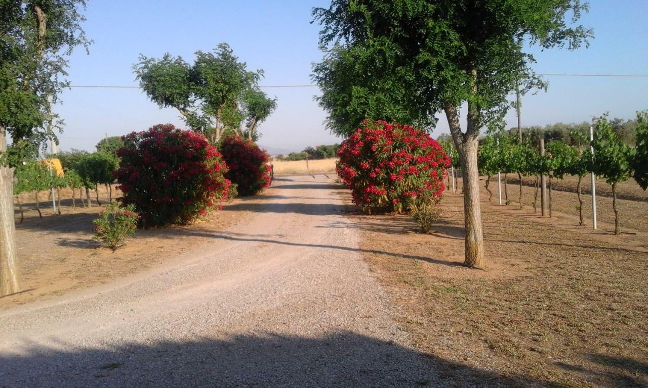 Monolocale Con Giardino Villa Кастильоне дела Пеская Екстериор снимка